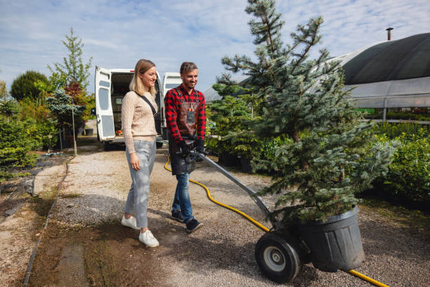 Best Tree Preservation Services  in Carlsbad, NM